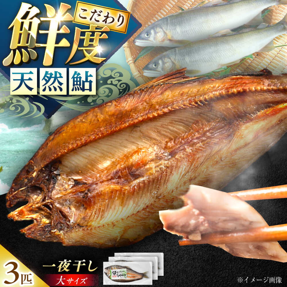 【ふるさと納税】天然あゆの一夜干し 大 3匹セット / あゆ 天然 鮎 干物 / 恵那市 / 恵那物産館[AUFS002]