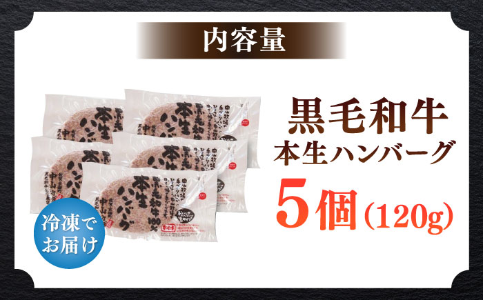 国産黒毛和牛本生ハンバーグ 計600g（120g×5個）/ ハンバーグ 冷凍 小分け 簡単調理 和牛 / 佐賀県 / 株式会社中山牧場 [41AOCW004]