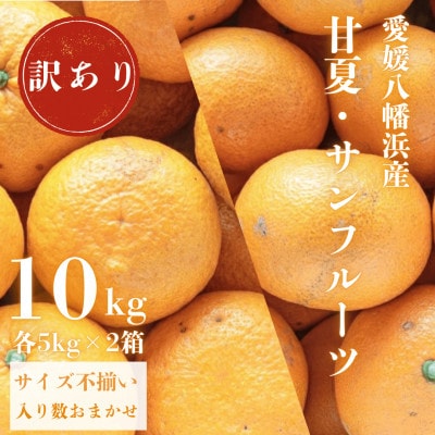 甘夏＆サンフルーツ各5kg【訳あり】【C20−19】【1094577】