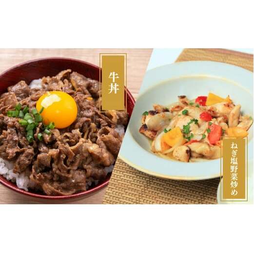 牛肉＆鶏肉 佐賀の地元産お肉を2種楽しめる 佐賀牛小間切れ ありたどり塩ネギ セット 各300g 計600g  肉 佐賀牛 牛肉 おすすめ 1万円 N10-66_イメージ3