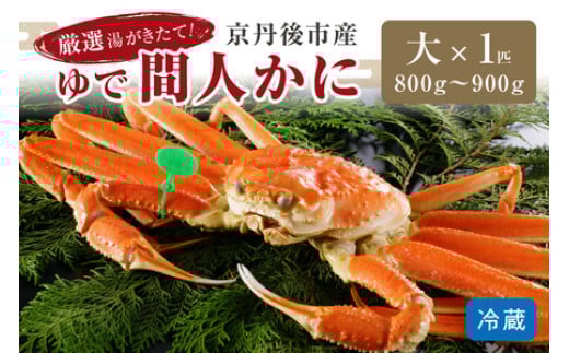 かに卸問屋がお届け・自社釜ゆで！幻のゆで間人ガニ 800ｇ～900ｇ 大サイズ （1月～3月発送）／北畿水産 松葉ガニ 松葉蟹 松葉がに 松葉かに ズワイガニ ボイル カニ 姿 ゆでかに　HK00221