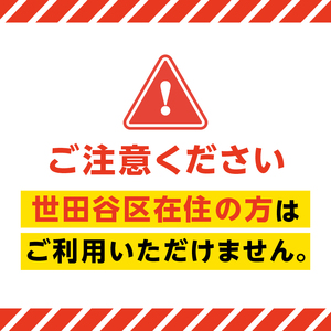 ＜令和7年10月4日開催＞第47回 世田谷区たまがわ花火大会 ふるさと応援者席 招待券【4名様分・イス席】花火 思い出 体験 鑑賞 東京 世田谷_0084-002-se7