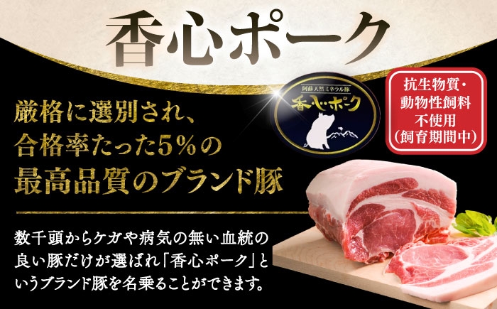 豚肉 ぶたにく ぶた肉 ブタ肉 ブタ ポーク 冷凍 ブランド ブランド豚 菊陽 熊本