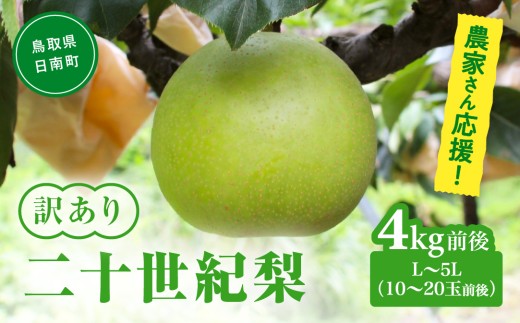【令和9年産先行予約】農家さん応援 訳あり 二十世紀梨 L～5L 4kg前後(10～20玉前後) 梨 なし フルーツ 鳥取 高間商店