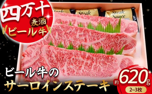 四万十麦酒牛 サーロインステーキ  620g（2枚～3枚） Asz-09 麦酒牛 牛肉 肉 国産牛 冷凍 ステーキ サーロイン サーロインステーキ