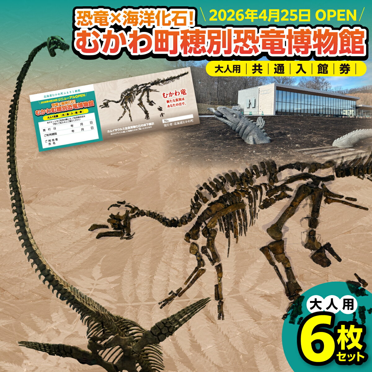 【ふるさと納税】【令和8年4月25日OPEN】恐竜×海洋化石！むかわ町穂別恐竜博物館 共通入館券　大人用6枚セット 【 むかわ町穂別恐竜博物館 共通入館チケット カムイサウルス むかわ竜 恐竜館 海洋化石館 北海道 観光チケット 家族旅行 レジャー 】 MKWAM002