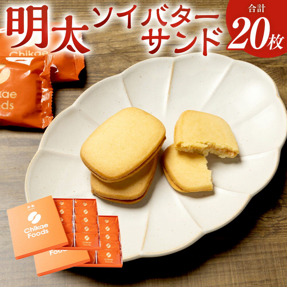 【ふるさと納税】明太ソイバターサンド 計20枚（10枚入×2箱） 辛子明太子 からしめんたいこ 魚卵 魚介類 クッキー お菓子 おやつ おつまみ お酒のお供 冷凍 国産 福岡県 直方市 送料無料