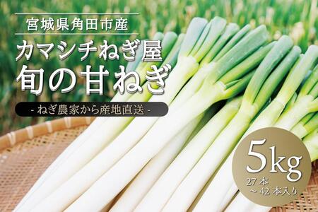 【角田市】カマシチねぎ屋 旬の甘ねぎ 5kg（約27本～42本）