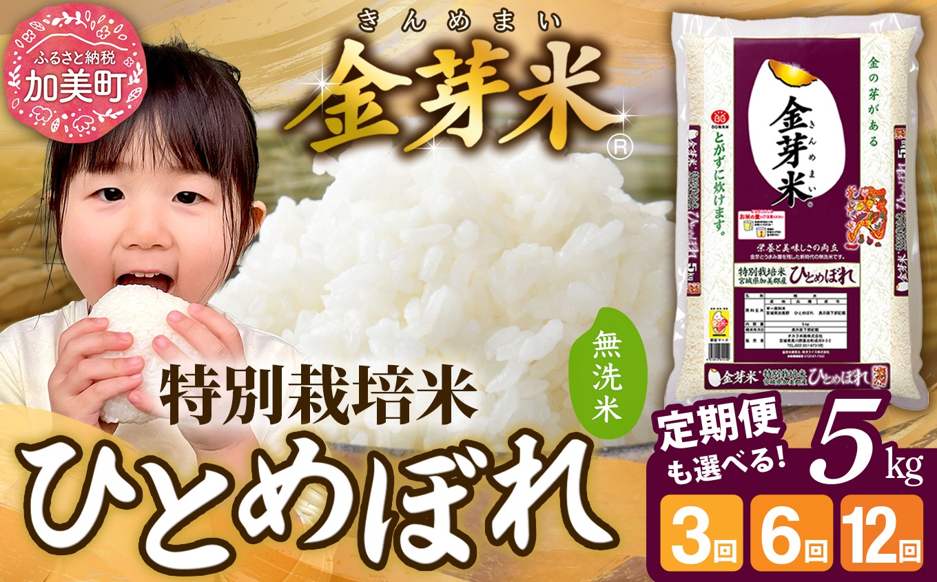 
                  【新米予約】無洗米 定期便 5kg 金芽米 【2ヶ月/ 3ヶ月 /4ヶ月/5ヶ月/ 6ヶ月 / 12ヶ月 】 令和8年 米 特別栽培米 ひとめぼれ 【お米の定期便】糖質オフ カロリーオフ 栄養 健康 人気 小分け ダイエット 美容 宮城県 加美産 [ 宮城県 加美町 ] km-km-knm05-t
                
