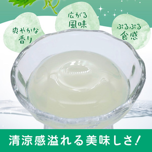 J05009-S 【お中元ギフト】大葉ゼリー 9個入り《7/1～8/8の期間にお届け》