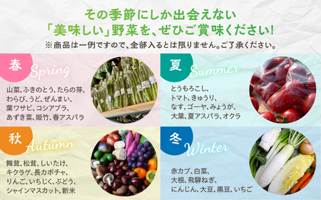 【4回定期便】飛騨の四季のお野菜 旬定期便　4回お届け 旬の新鮮 野菜セット (5～6品)