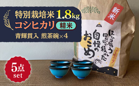 【令和6年産新米】 精米 コシヒカリ 特別栽培米 （1.8kg）+ 【美濃焼】 青輝貫入 煎茶碗 （4個） 【山松加藤松治郎商店】[TEU061]
