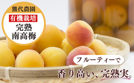 有機栽培　完熟南高梅 3kg | 果実 かじつ カジツ 梅 うめ ウメ 南高梅 奈良県 五條市
