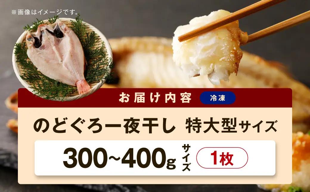 のどぐろ一夜干し個包装1枚 「超希少サイズ・特大型300g超重量」産地直送 干物 魚 一夜干し 人気 大きい 天然 ボリューム ノドグロ 【005_0130】