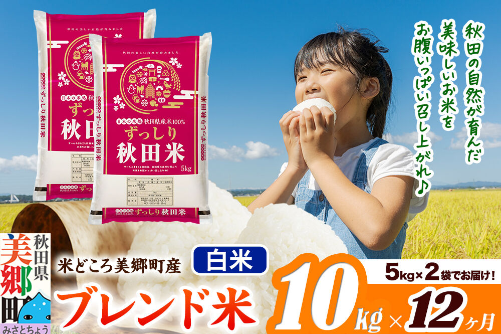 米《定期便12ヶ月》ブレンド米【白米】精米 10kg（5kg×2袋）秋田県美郷町産 [5kg袋 お米 こめ ご飯 ごはん 米どころ 秋田県産 美郷町]