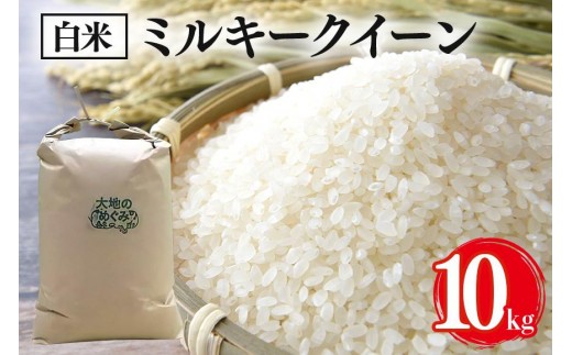 【令和7年産】お米 ( ミルキークイーン ) 白米10kg お米 白米 米 おこめ ブランド米 ミルキー 10キロ 国産 単一原料米 コメ こめ ご飯 銘柄米 茨城県産 茨城 産直 産地直送 農家直送 お取り寄せ ごはん 冷めても美味しい 甘み 家庭用 贈答用 茨城県 石岡市 (B01-006)