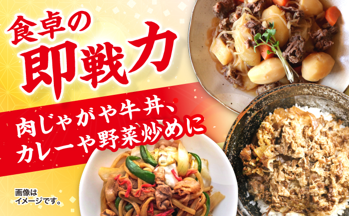 【3回定期便】長崎県産 黒毛和牛 切り落とし 約500g＜宮本畜産＞ [CFA050] 国産 和牛 切り落とし