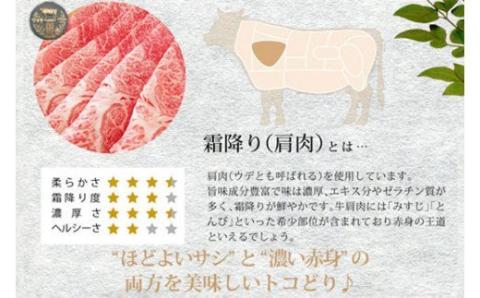 宮崎牛霜降りスライス500g |牛肉 牛 肉 霜降り スライス しゃぶしゃぶ すき焼き