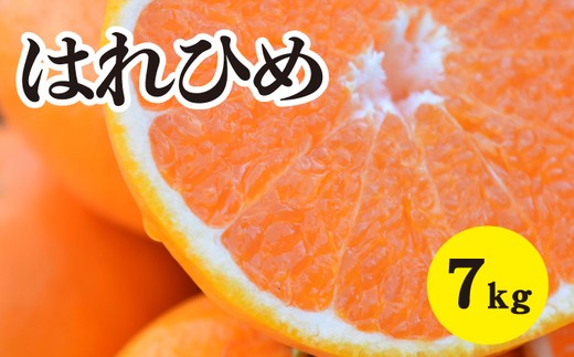 
                  みかん【先行受付】【2027年1月以降発送】 爽やかな香りと甘さに満足！ 新品種 はれひめ ＜約7kg＞ 広島 三原 佐木島 鷺島みかんじま 017019
                
