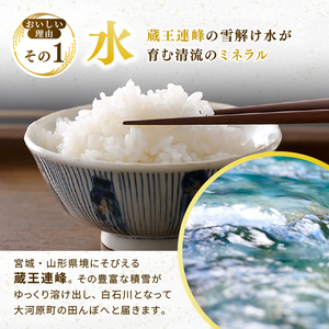 ひとめぼれ 5kg×1袋 令和8年産 新米 白米 精米【12か月定期便】