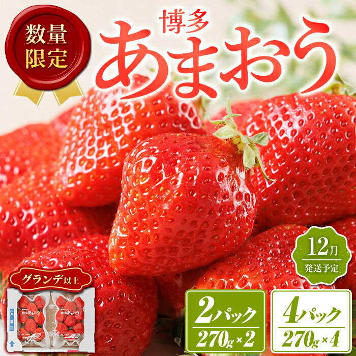 【ふるさと納税】＜数量限定・容量を選べる・先行予約受付中！2026年12月中旬より順次発送＞福岡県産苺「あまおう」グランデ以上(計約540g or 1080g)いちご 苺 フルーツ 果物 くだもの 福岡限定 家庭用 冷蔵 ＜離島配送不可＞【ksg1891・ksg1892】【hurrah.】
