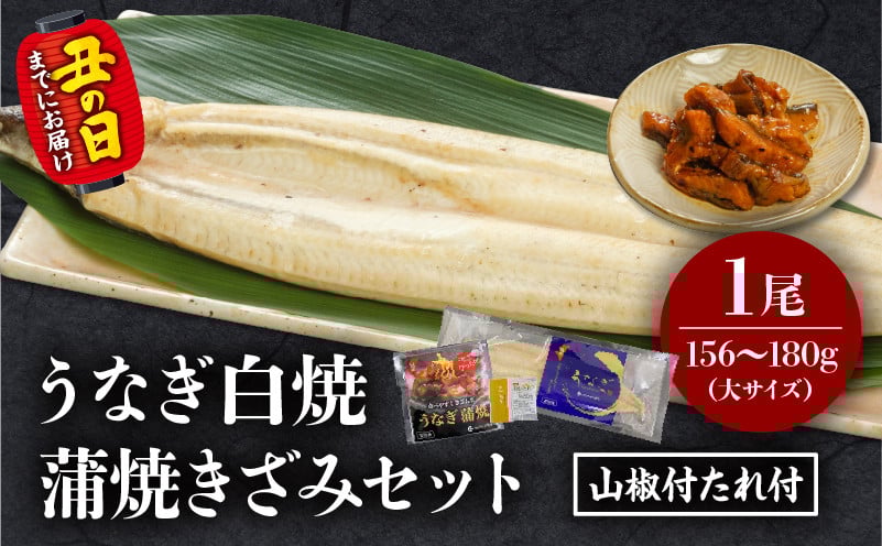 
            【選べる発送月】うなぎ白焼(大サイズ)・きざみセット_M069-021-SKU
          
