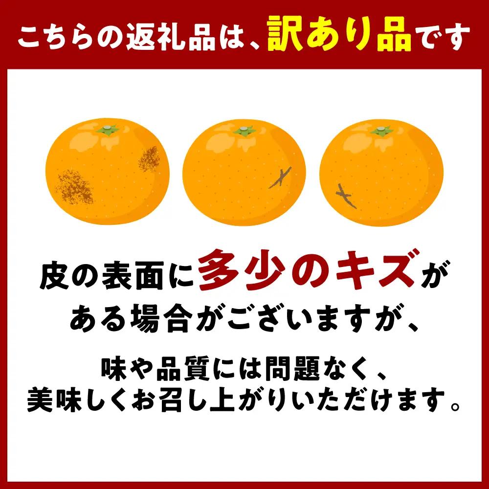 【先行予約】 【訳あり】 紅八朔 ご家庭用 約10kg 八朔 はっさく 【2027年2月上旬より順次発送】