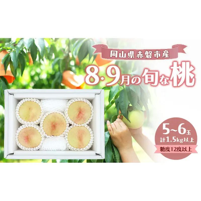 桃 数量限定 岡山の白桃 『8・9月の旬な桃』 5-6玉 計1.5kg以上 糖度12度以上 桃