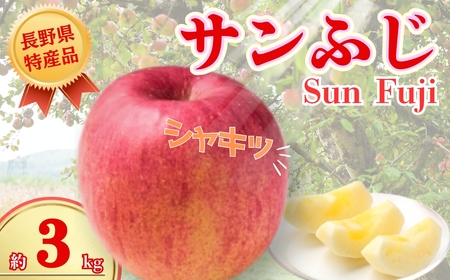 【2026年先行予約】サンふじ 約3kg| りんご