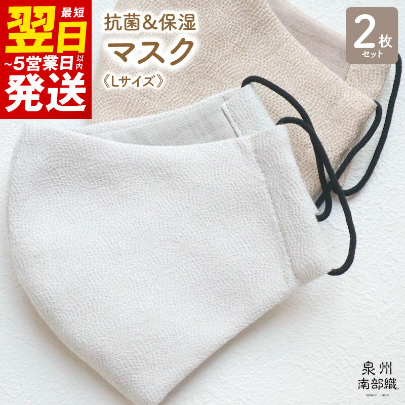 【ふるさと納税】抗菌＆保湿マスク2枚組《Lサイズ》 防災グッズ