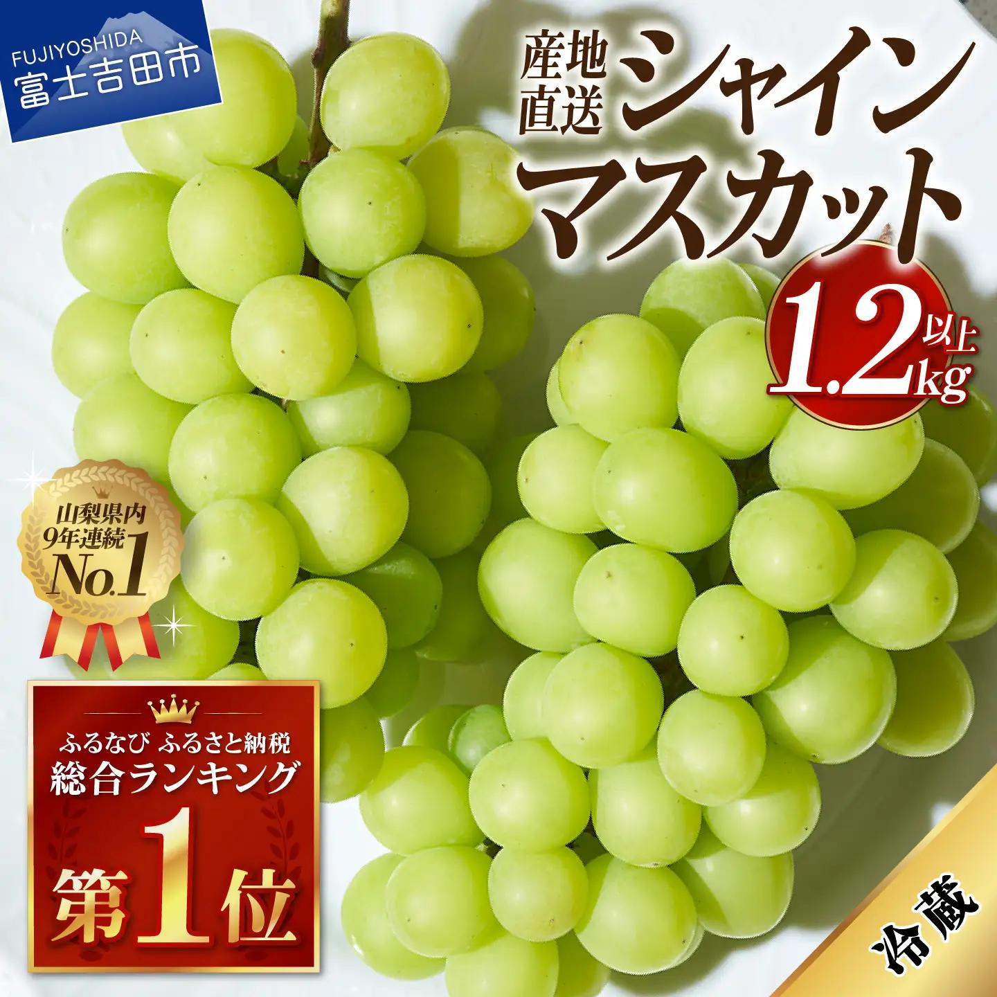 【ふるなびWEEK対象】シャインマスカット 【2026年発送】高級 山梨県産 シャインマスカット 2～3房 （1.2kg以上） フルーツ