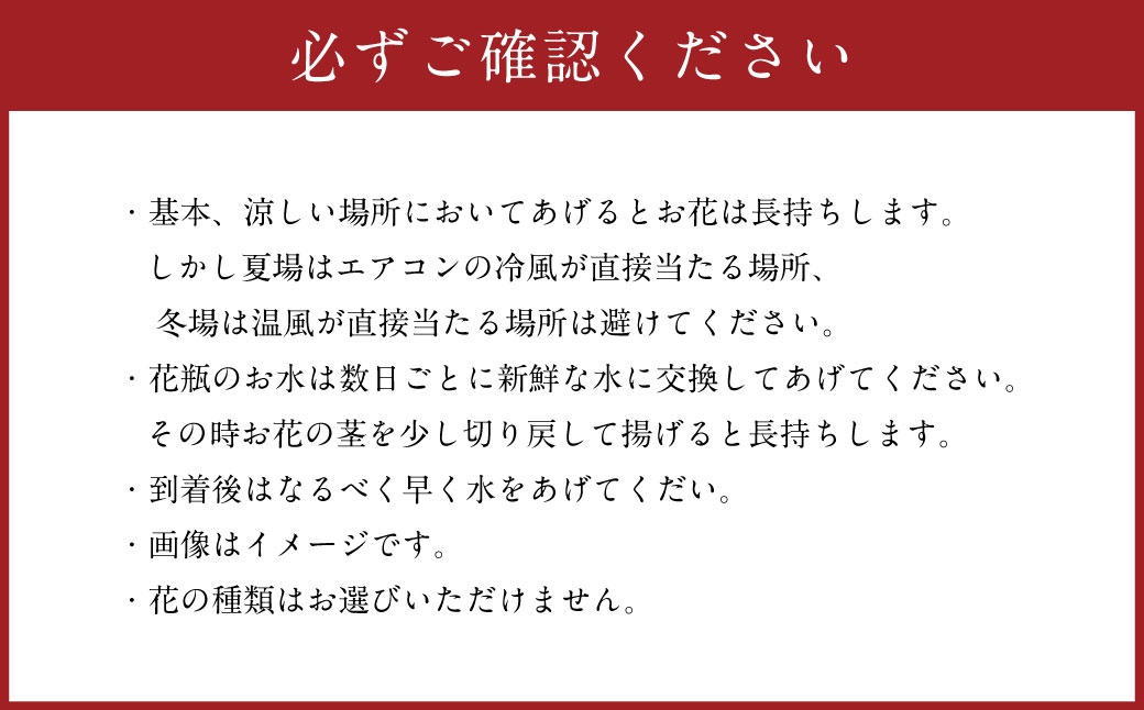 箱いっぱいのおまかせ季節の切花
