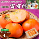 【ふるさと納税】【先行予約】《令和7年産》大野農園の富有柿ご家庭用3L・2Lサイズ 約 4kg 11月中旬〜12月中旬発送予定 [1043] [mt094]｜訳あり わけあり ワケアリ かき 富有柿 フルーツ カキ 果物 くだもの 岐阜県 本巣市 13000円