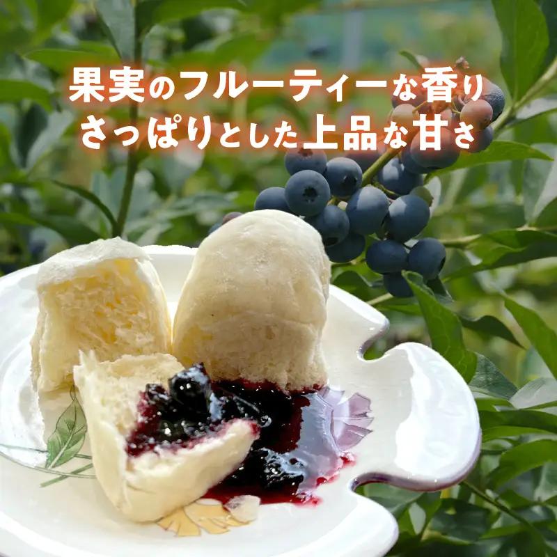 ブルーベリーソース 3本 180g×3 
