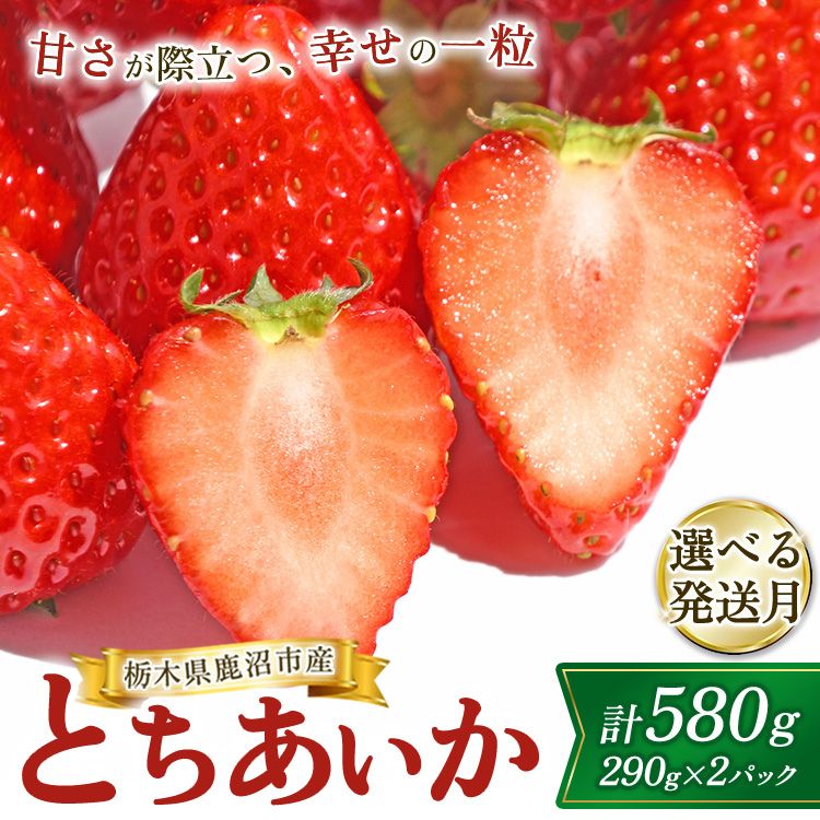 【ふるさと納税】【選べる発送月】鹿沼市産 とちあいか（290g×2パック） 1月発送/2月発送/3月発送/4月発送 ｜ いちご イチゴ 苺 仲田農園 栃木県 果物 くだもの フルーツ デザート スイーツ とちあいか 新鮮 贈答 ギフト ※北海道・沖縄・離島への配送不可