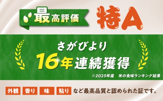 令和7年産 無洗米 さがびより 10kg（5kg×2袋） 無洗米 お米 白米 精米 佐賀県産 米 /大塚米穀店 [UFE005]