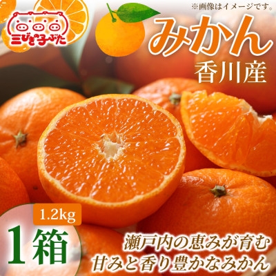 
                  ＜甘さと酸味の絶妙＞香川県産極上みかんを家族みんなで味わう　みかん(ハウス)(1.2kg)1箱【1727336】
                