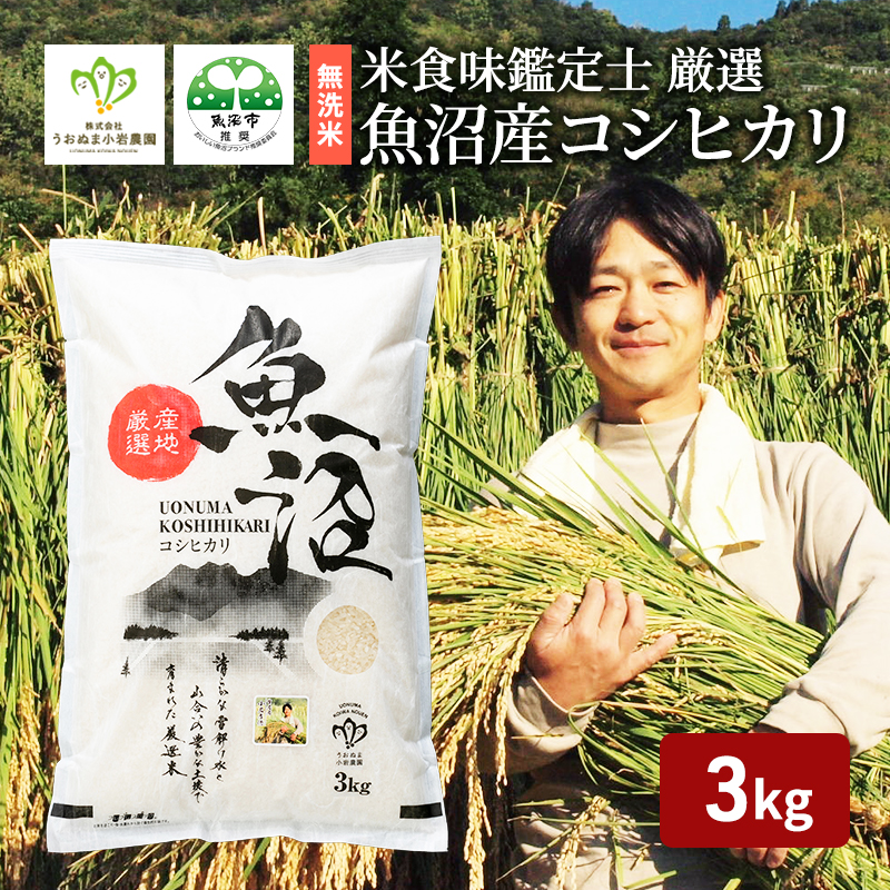 令和6年産 無洗米 米食味鑑定士 厳選 魚沼産 コシヒカリ 3kg （ 米 こしひかり お米 新潟 魚沼 魚沼産コシヒカリ 魚沼産こしひかり こめ 米3kg ） 新潟県 