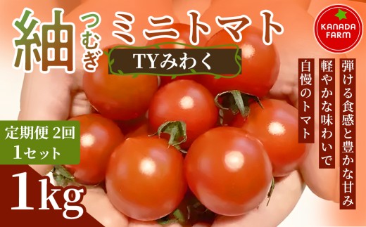 《先行予約》【定期便2ヶ月】紬（つむぎ）ミニトマト（TYみわく）　1kg 1セット 新鮮野菜 フルーツ 旬 サラダ デザート お弁当 朝食 料理用 そのまま食べる おうちごはん お取り寄せ 産地直送 贈り物 手土産 愛知県 豊橋市