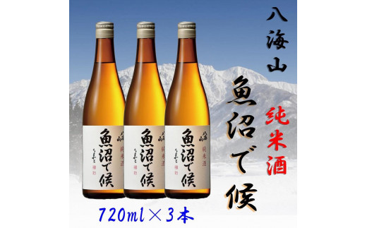 
【魚沼地域限定】純米酒 八海山「魚沼で候」720ml×3(化粧箱付き)
