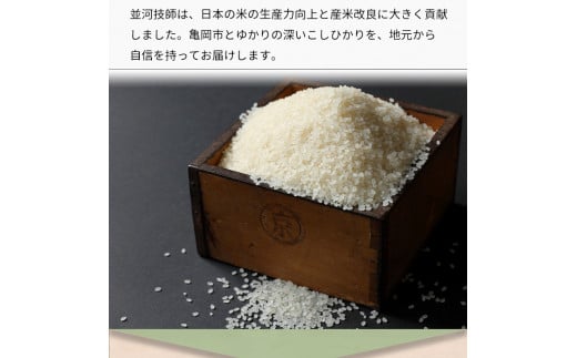 【9月より新米】【定期便】米 京都丹波米こしひかり5kg×8回 計40kg◇◆◇ 定期便 8回定期便 米 白米 5kg 8ヶ月 ※精米したてをお届け ｜ 米・食味鑑定士厳選 コシヒカリ 京都丹波産