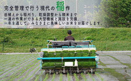 コシヒカリ 6ヶ月連続 令和8年産 一等 10kg コシヒカリ