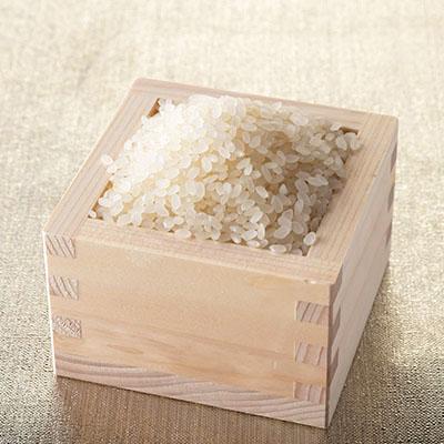 ふるさと納税 登米市 令和6年産　宮城県登米市産ひとめぼれ(精米)5kg×2袋セット |  | 01