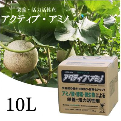 ふるさと納税 須崎市 アクティブアミノ10L
