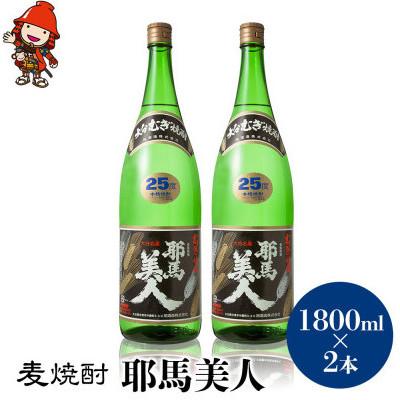 ふるさと納税 中津市 【毎月定期便】麦焼酎　耶馬美人25度　 1,800ml×2　全12回