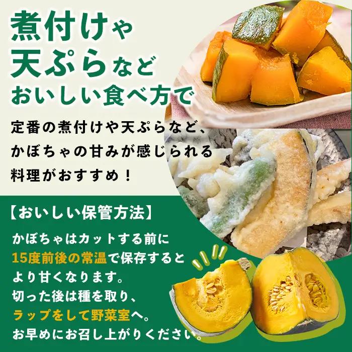 かぼちゃ ブラックのジョー 4kg 北海道 士別産  9月下旬以降準備ができ次第発送【吉方農園】 A7084