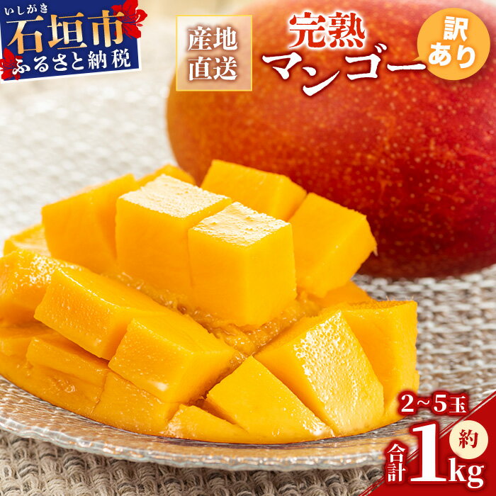 【ふるさと納税】【予約販売】【訳あり】 マンゴー 石垣島産 完熟 アップルマンゴー 家庭用 約1kg B級 《2026年7月上旬から順次発送》｜ ふるさと納税 マンゴー 訳アリ フルーツ 規格外 傷 沖縄県 石垣市 送料無料 KP-13