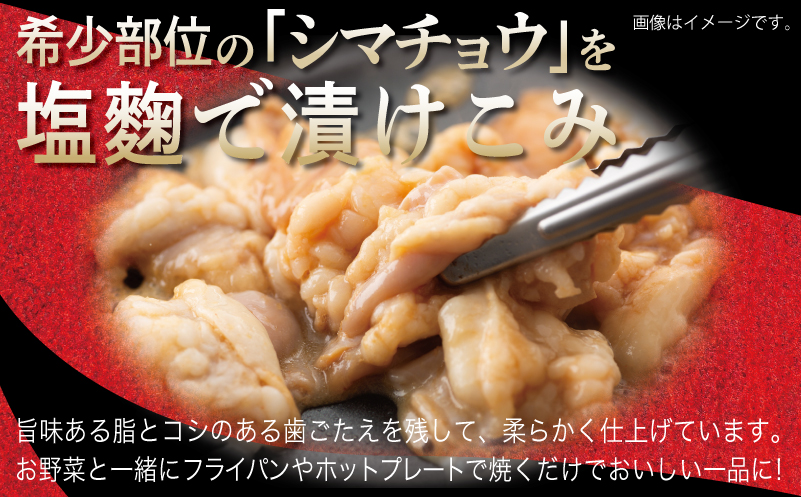 牛シマチョウ 焼肉用 塩麹漬け 500g【味付け 小分け 250g×2P 焼くだけ 簡単調理 BBQ 牛肉 ホルモン お試し】 G3450