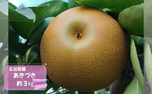 
                  あきづき 約3kg / 広谷梨園 / 梨 なし 果物
                