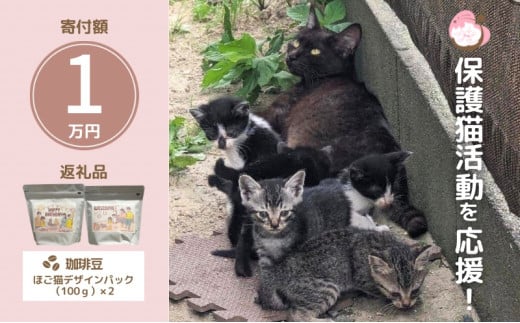 珈琲 さくらねこサポートOGORI 保護猫活動を応援！ コーヒー豆 100g×2袋 コーヒー 飲料